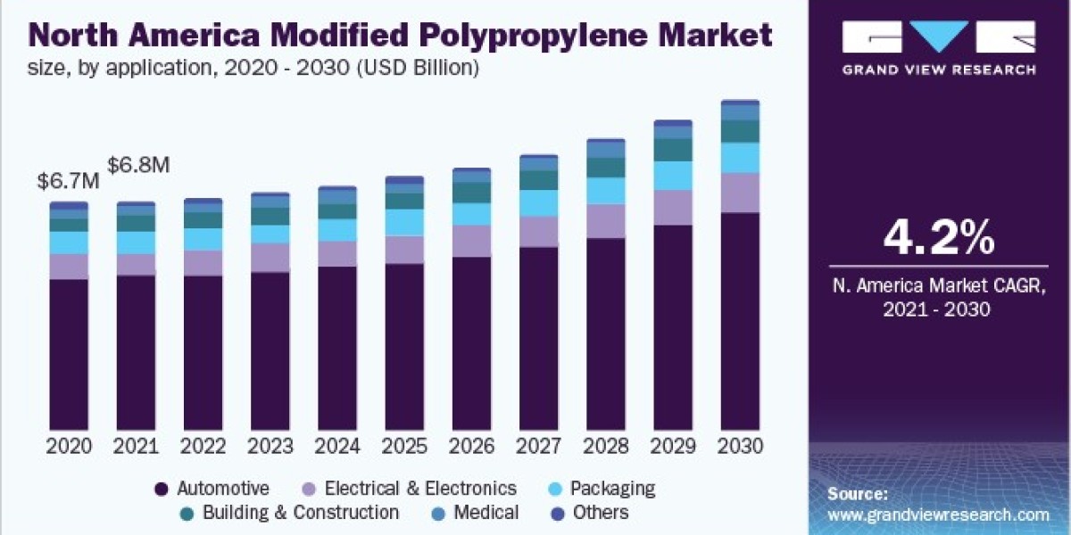 Modified Polypropylene Market Dynamics Shaping Future of Consumer Goods Packaging