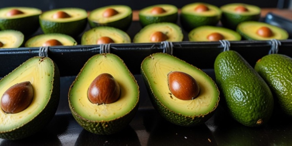 Avocado Processing Plant Setup | Machinery Details, Industry Trends and Cost Involved