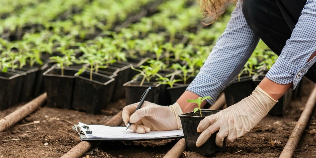 Regenerative Agriculture Market Strategies Government Incentives and Policy Support