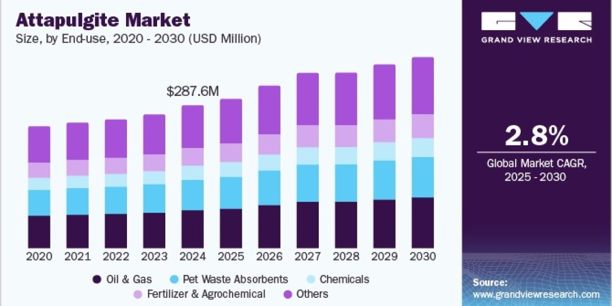 Attapulgite Market Trends: Enhancing Performance in Absorbents and Filtration