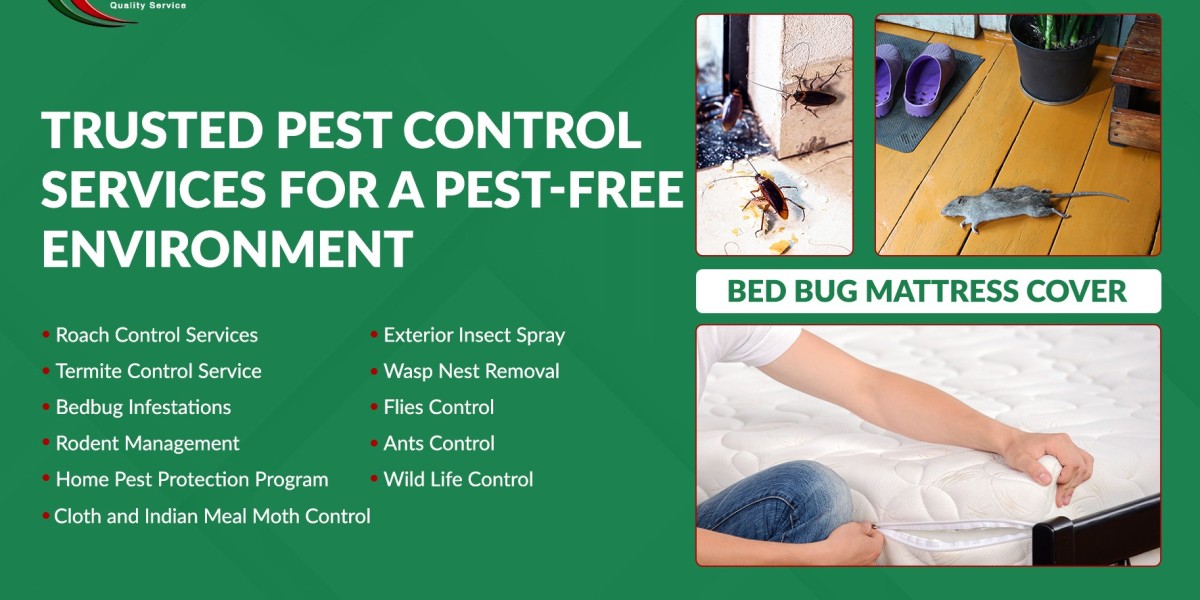 Termite Treatment in Brampton: Effective Solutions for Your Property
