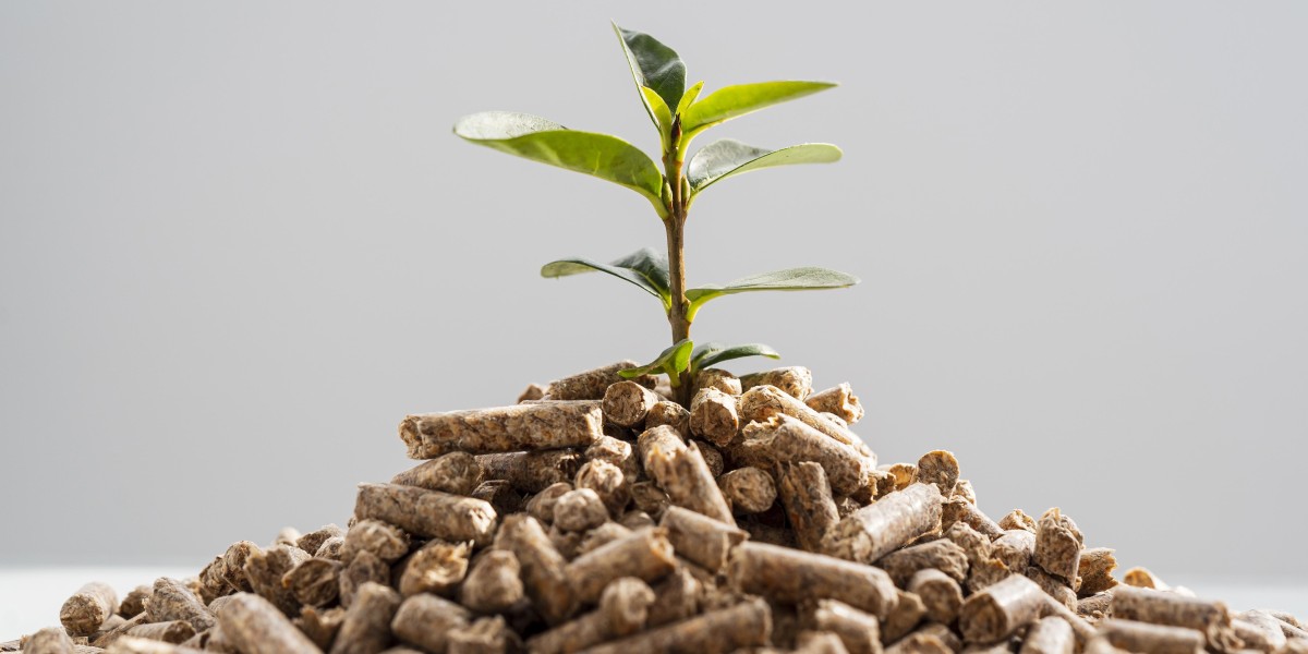 Global Fertilizer Market: Trends, Challenges, and Future Outlook