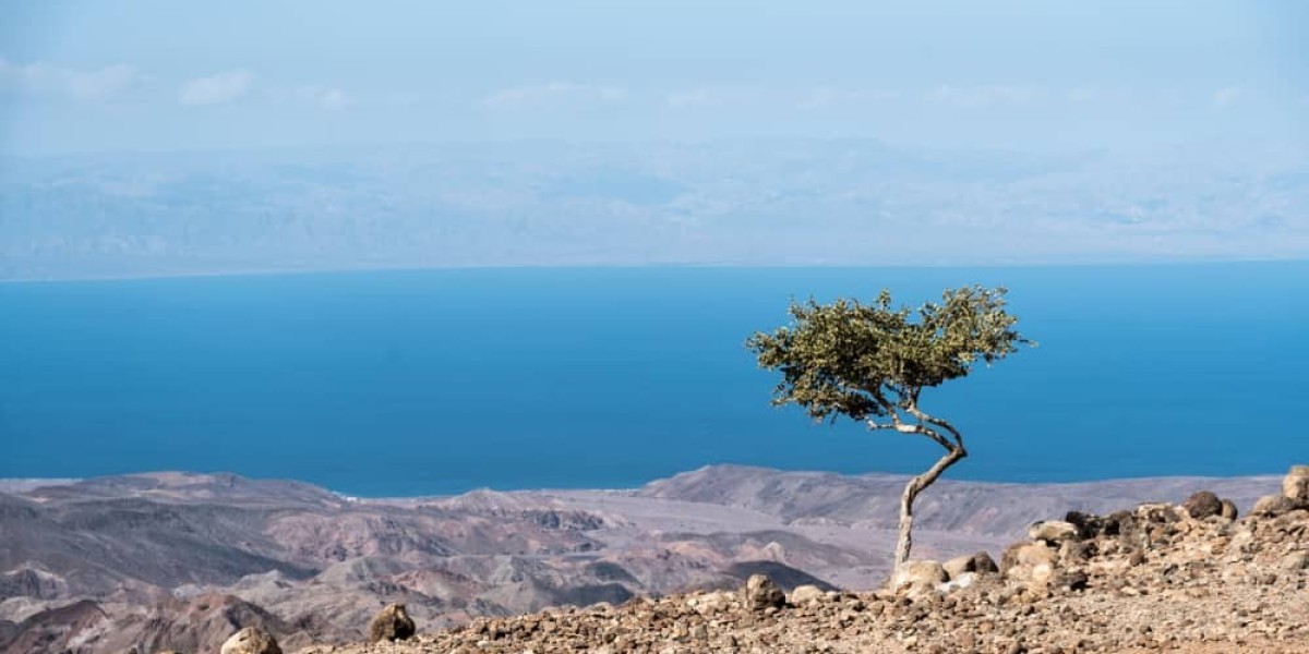 Djibouti e-visa for Japanese Citizens