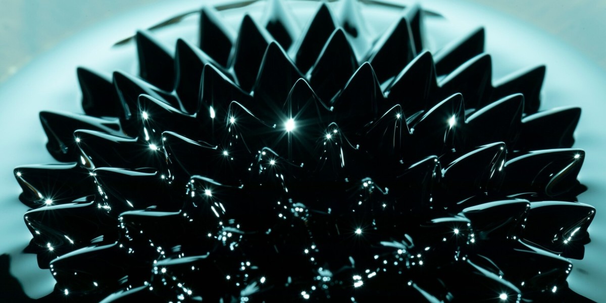 The Future of the Nuclear Grade Graphite Gasket Market: Trends, Challenges, and Opportunities