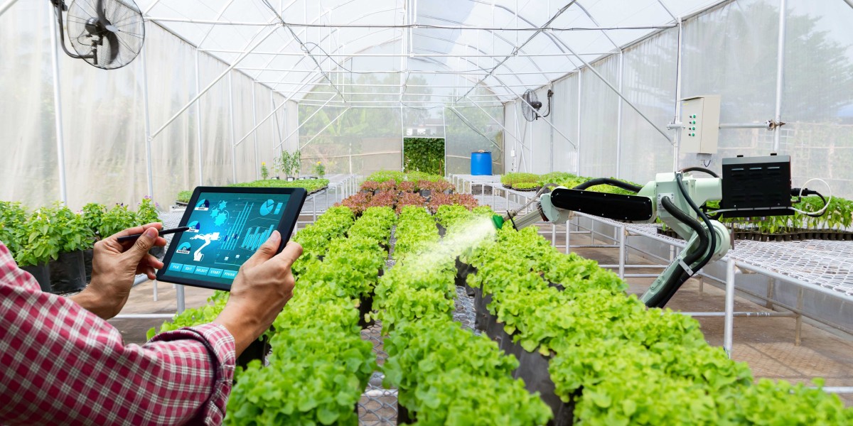 Plant-Based Beverage Market Strategies: How Brands Are Innovating to Meet Growing Consumer Demand