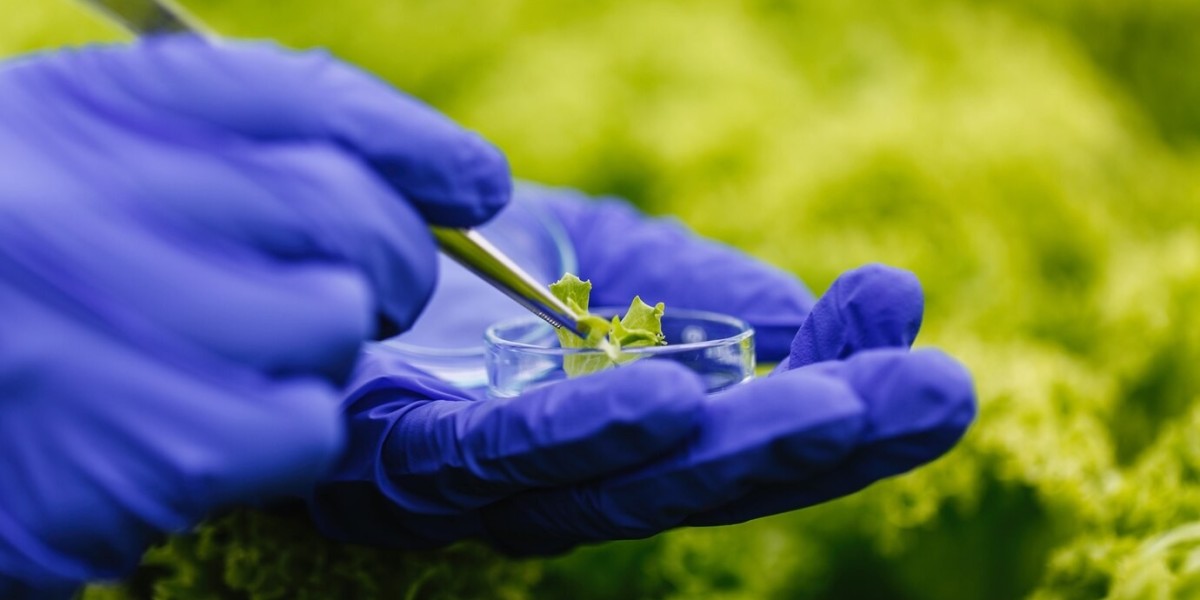 Agricultural Textiles Market Restraints and Regional Challenges