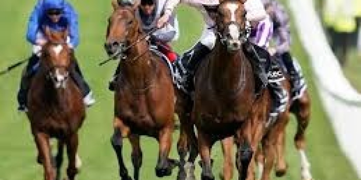 The Thrill of Horse Racing- A Deep Dive into the Sport of Kings