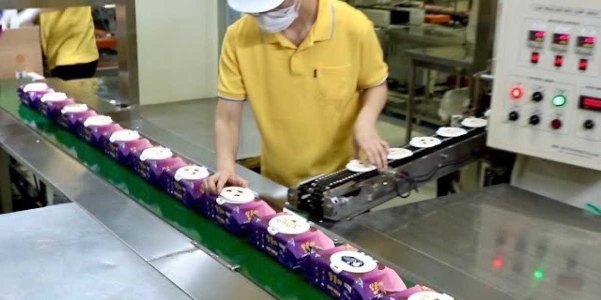 Prefeasibility Report on a Baby Wipe Manufacturing Plant Project Setup Cost and Expanses