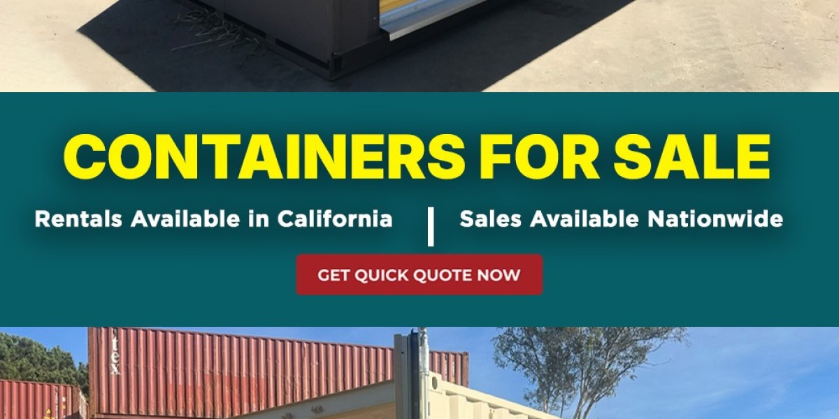 20-Foot Shipping Container: Everything You Need to Know