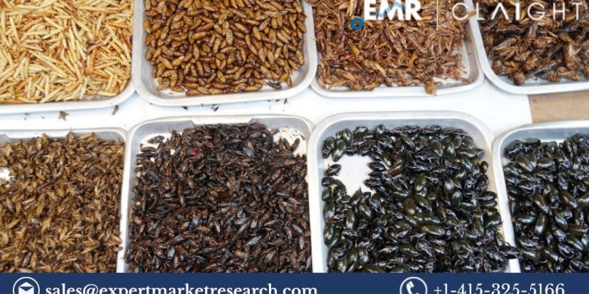 Insect Protein Market Size, Trends, Growth, and Forecast 2025-2034