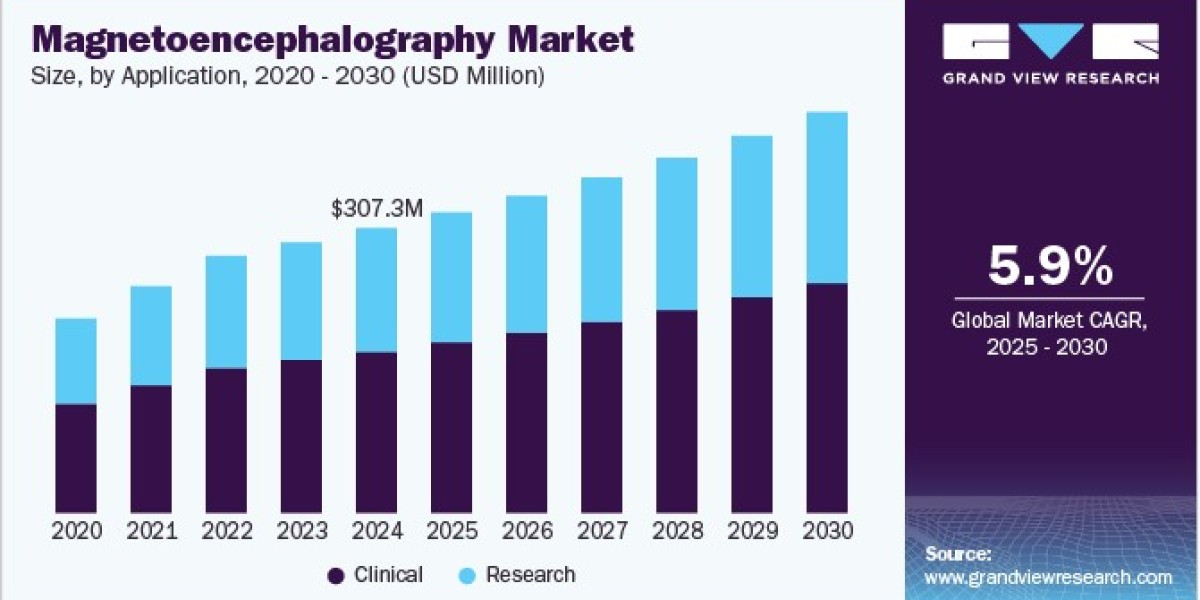 Magnetoencephalography Market Analysis Shows Promising Trends in Pediatric Neurology