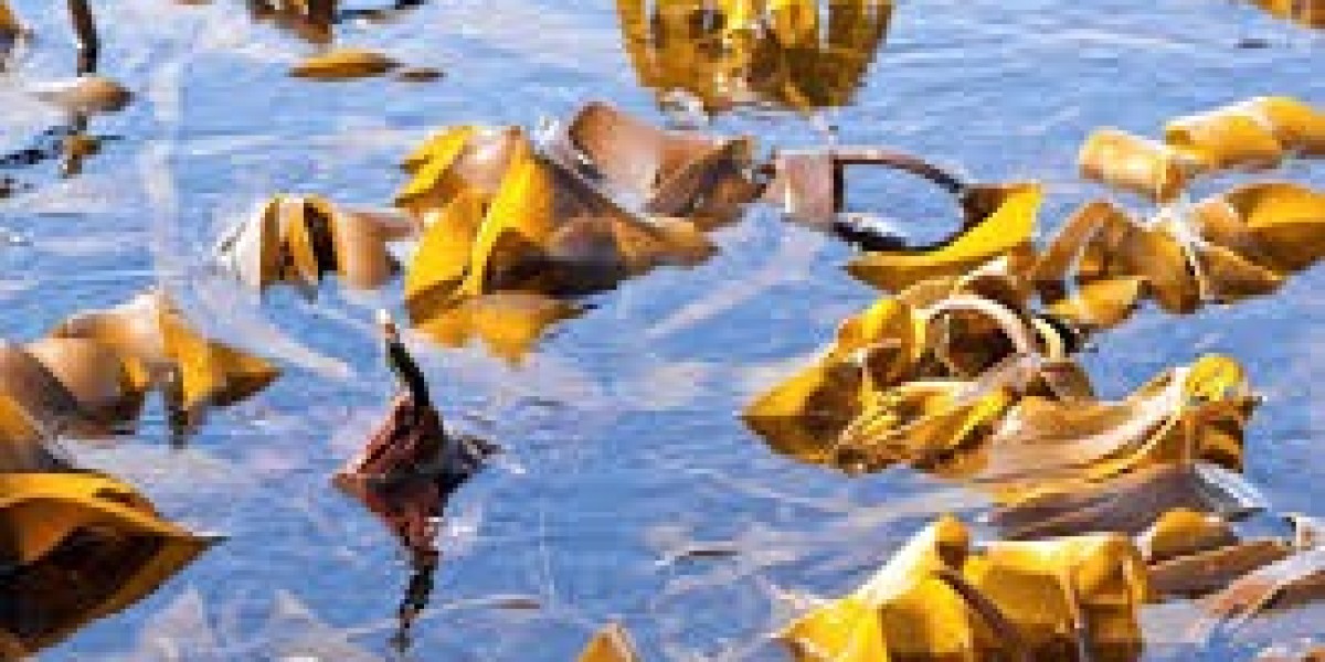 Marine Enzymes Market Intelligence: Key Drivers, Technological Advancements, and Challenges Shaping the Industry