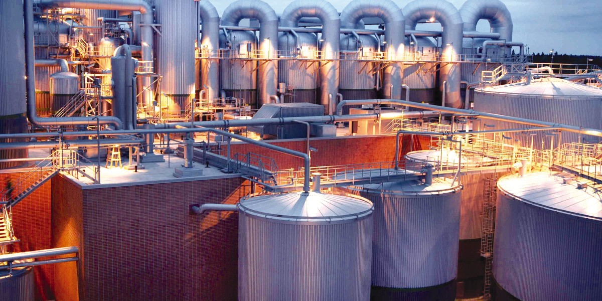 Refrigeration Oil Market: The Rising Importance of Energy-Efficient Lubricants in Industrial Cooling Systems