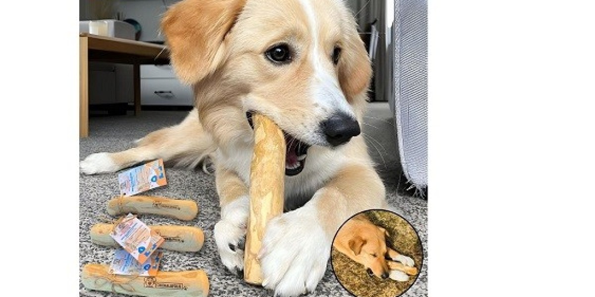 Pourquoi chaque propriétaire de chien a besoin des friandises à mâcher au bois de café de CHIENALAFOLIE
