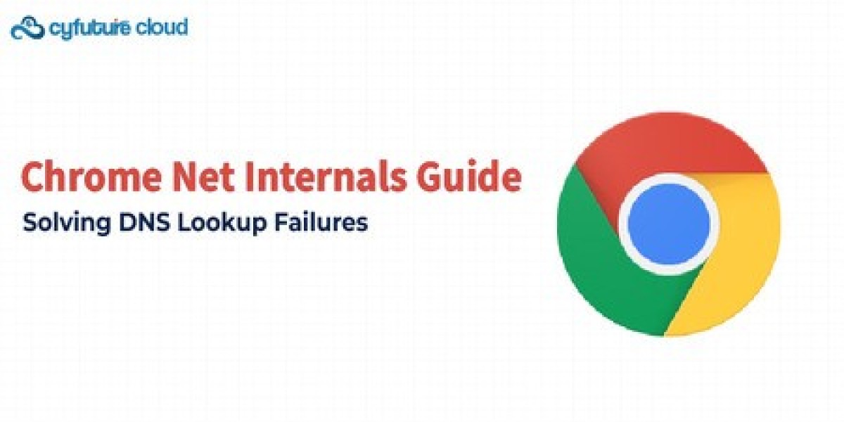 Everything You Need to Know About chrome.//net-internals/dns
