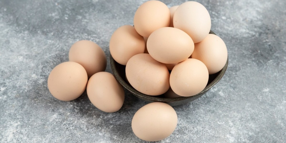 Frozen Eggs Market Growth Health and Wellness Trends Influence Consumption