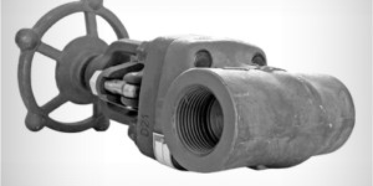 Forged Steel Valve Manufacturers in Ahmedabad, India