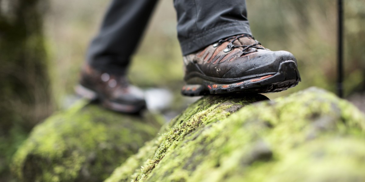 Hiking Footwear Market Pricing Strategies and Profitability Trends
