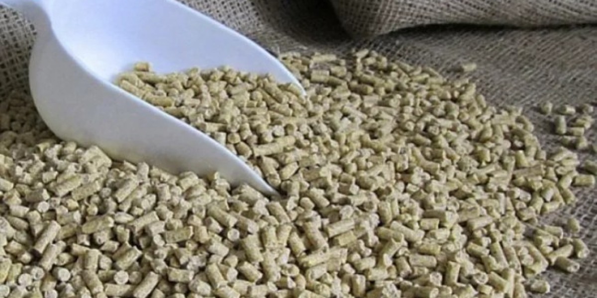 Feed Enzymes Market Opportunities: Rising Demand for High-Performance Additives in Animal Feed and Nutrition