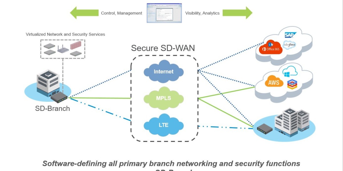 Software-Defined Wide Area Network (SD-WAN) Market Transformation: The Shift to Virtualized Network Solutions