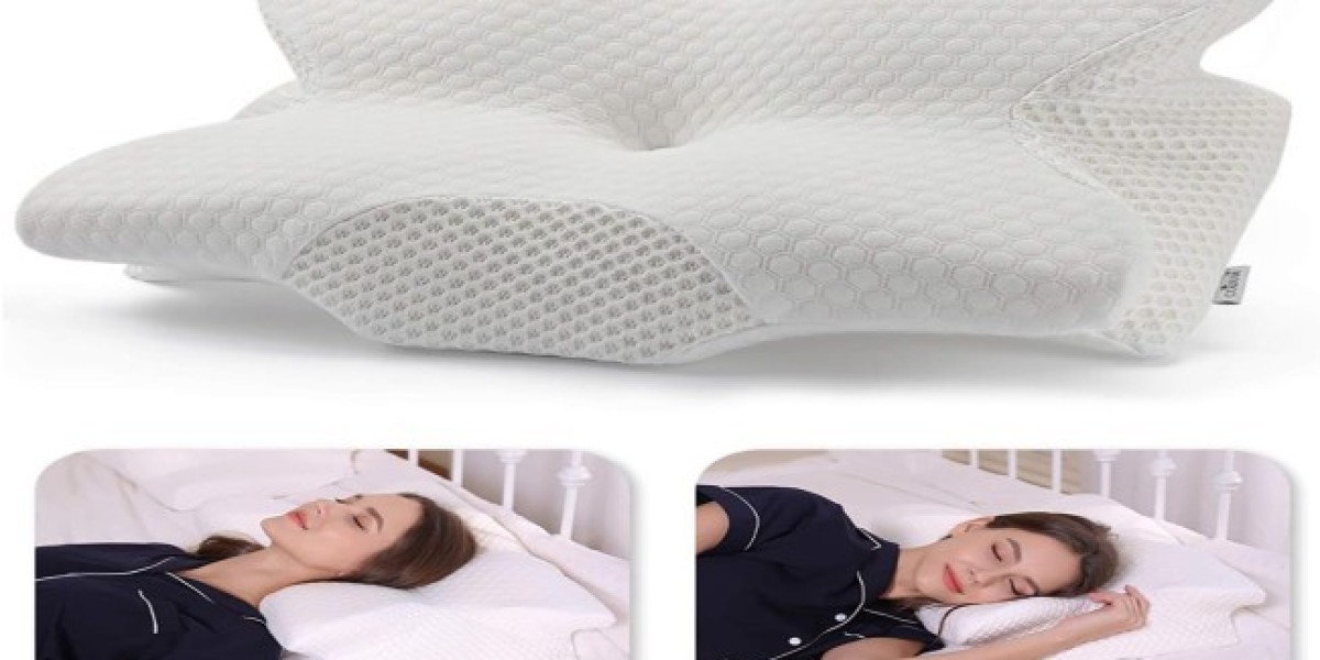 Cervical Pillow Market Trends Highlight Growth in Demand for Better Neck Support and Comfort