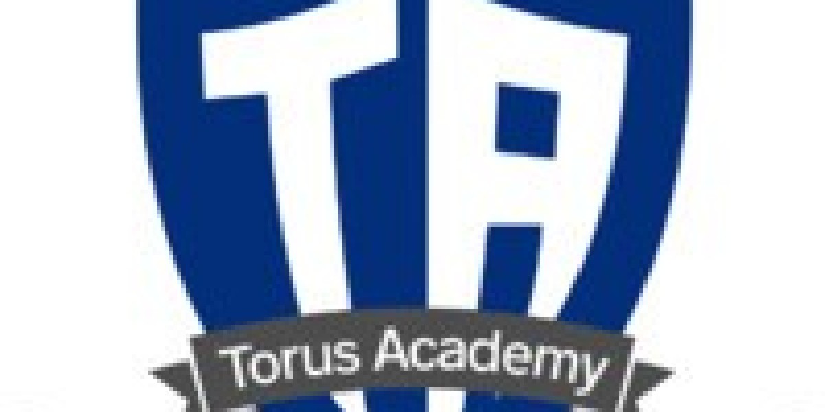 Ace Your Exams with Torus Academy’s O-Level Tutors