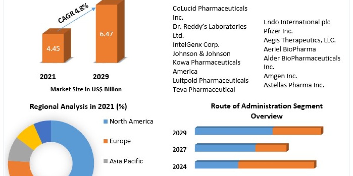 Migraine Therapeutics Market Size and Future Growth Opportunities