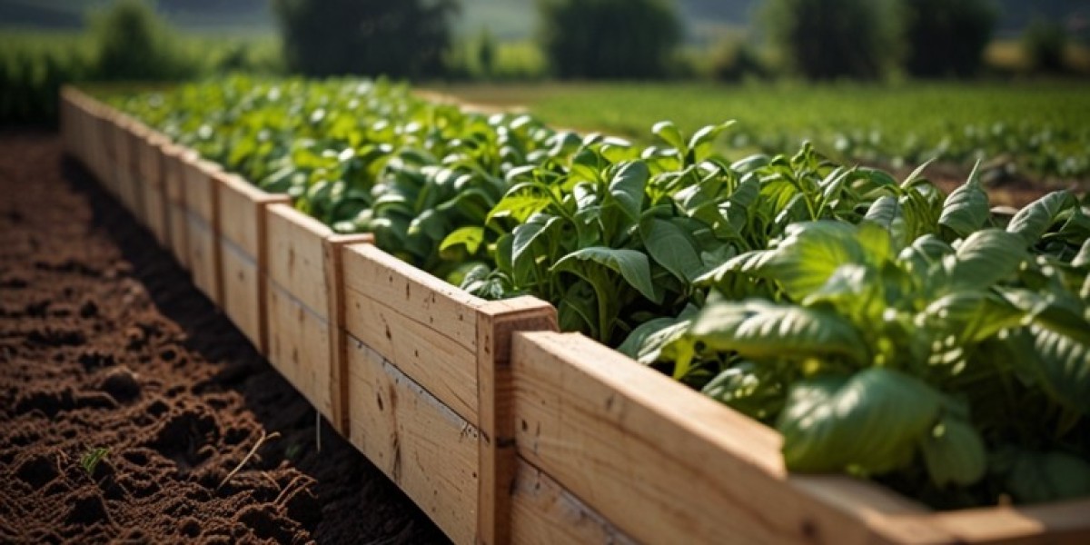 Organic Food Manufacturing Plant Project Report 2025: Business Plan, Cost and Revenue