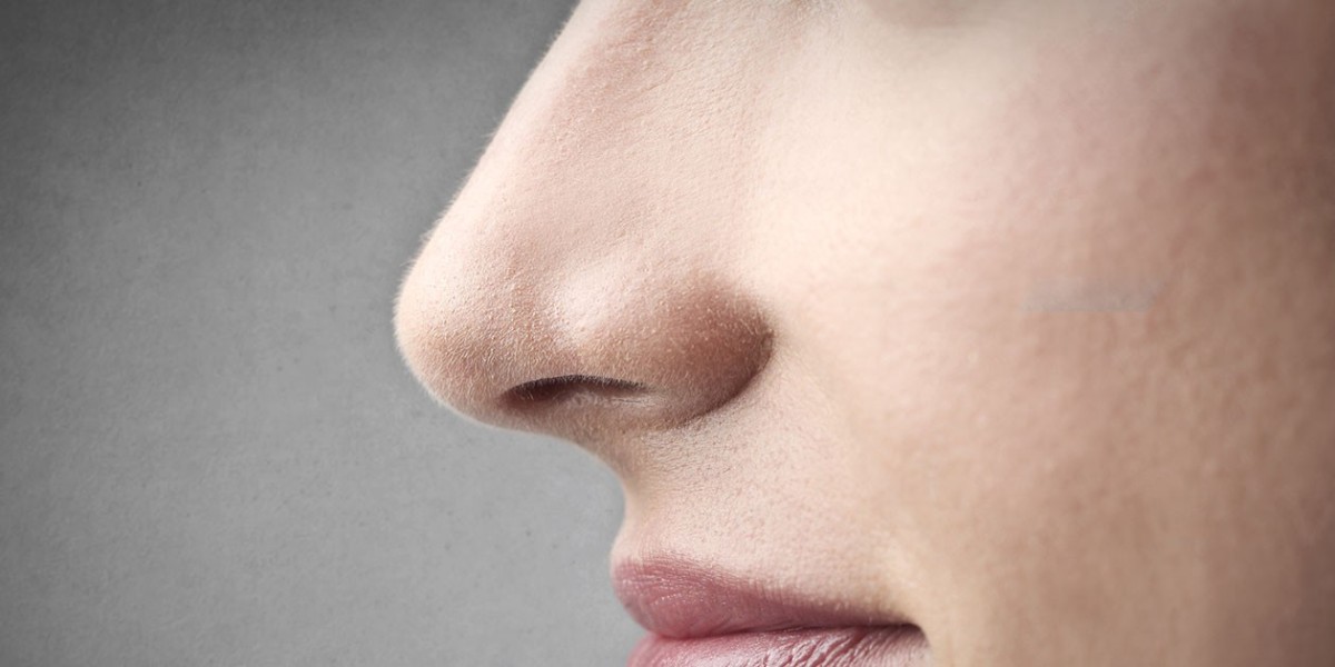 How to Choose the Best Alarplasty Surgeon in Riyadh