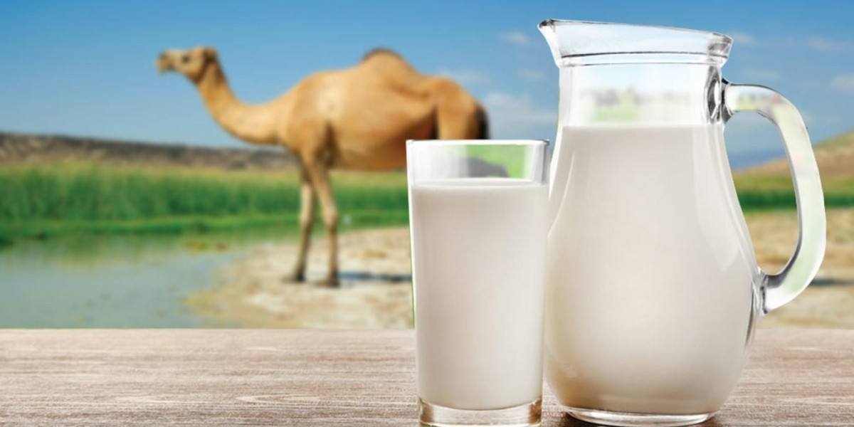 Camel Milk Market in the Middle East and Africa: Key Regional Insights