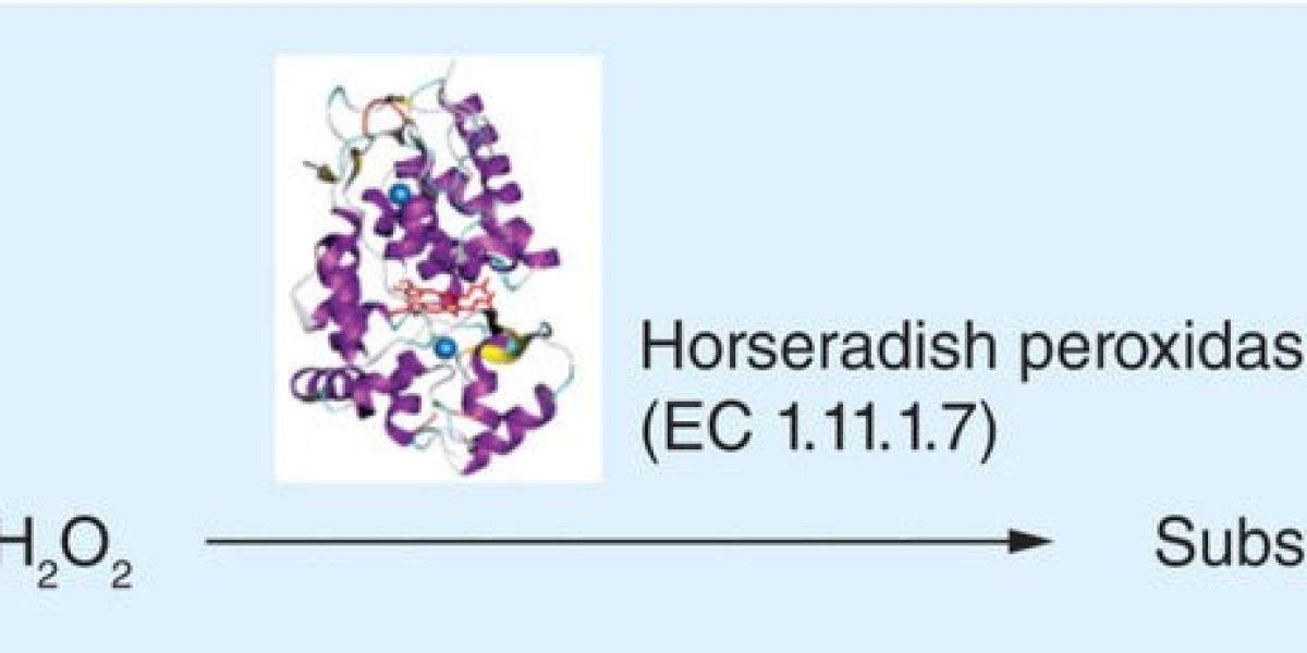 Horseradish Peroxidase Market Research study on Future Challenges, Growth Statistics and Forecast to 2031