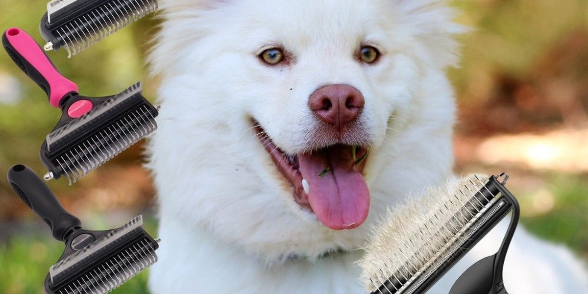 The Ultimate Chewing Toy for Dogs – Chienalafolie!