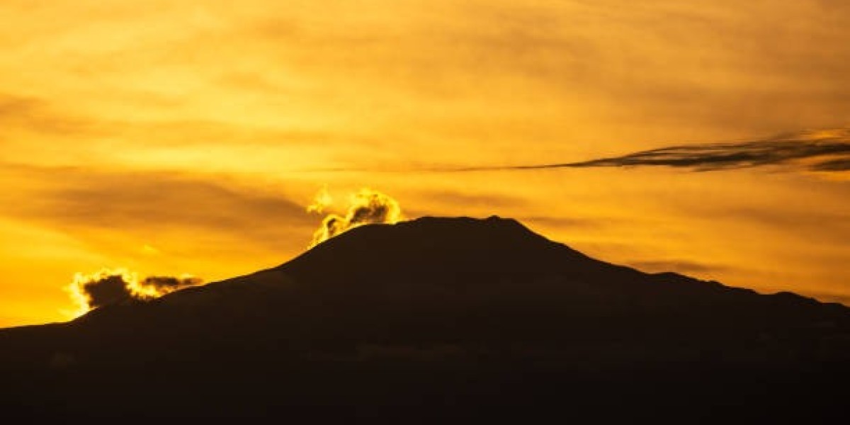 Cameroon e-Visa for French Citizens: Your Travel Guide