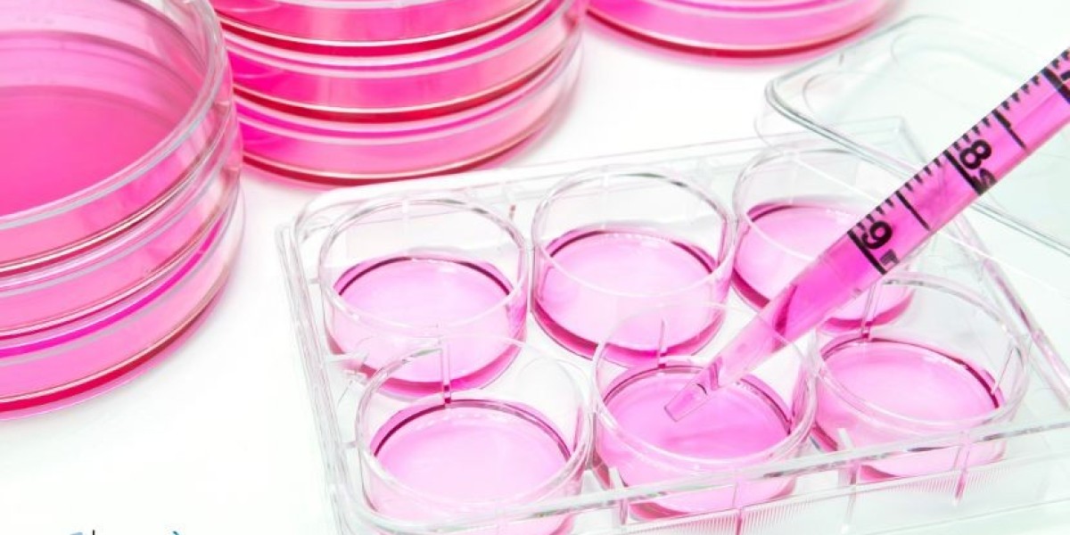 Europe Stem Cell Assay Market Size & Growth Report | 2034