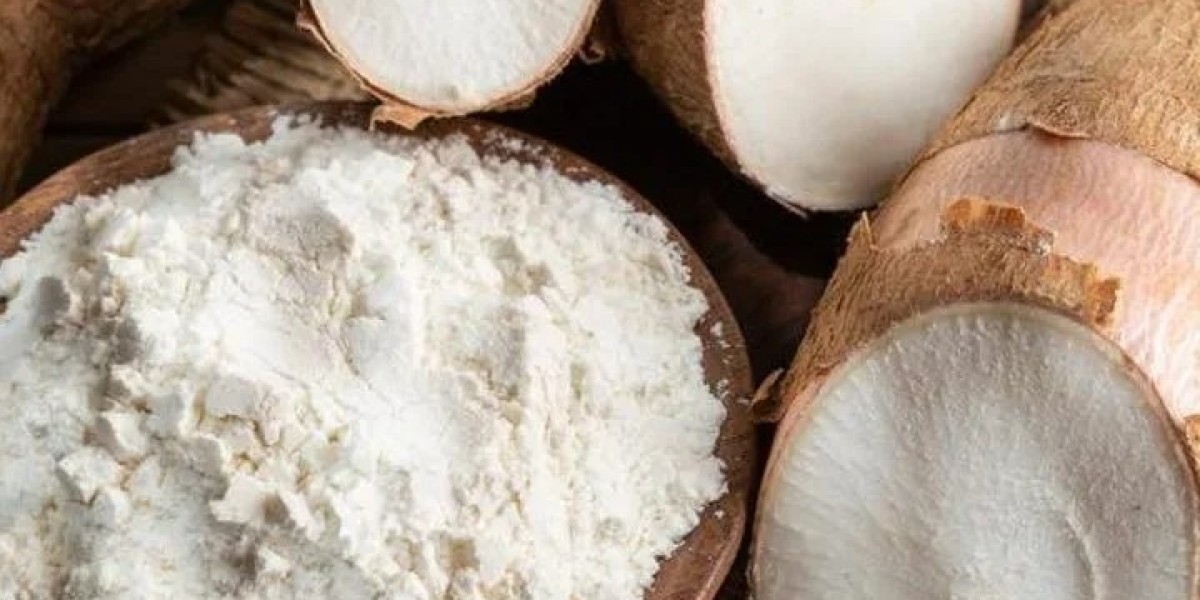 Native Starch Market Developments and How Sustainability is Driving Transformations in the Food Industry