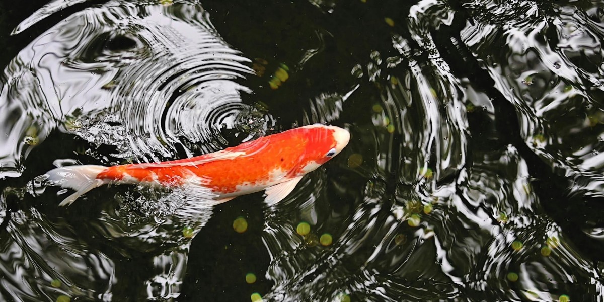 Aquaculture Market Potential: Growth Drivers, Challenges, Innovations, and Future Opportunities in Seafood Industry