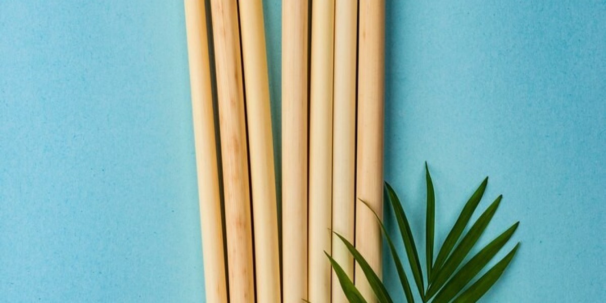 Eco-Friendly Straws Market Potential: Rising Consumer Demand and Business Opportunities in Sustainability