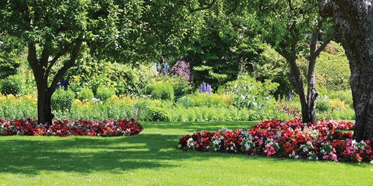 Turf: An Essential Element for Landscaping and Sports Fields