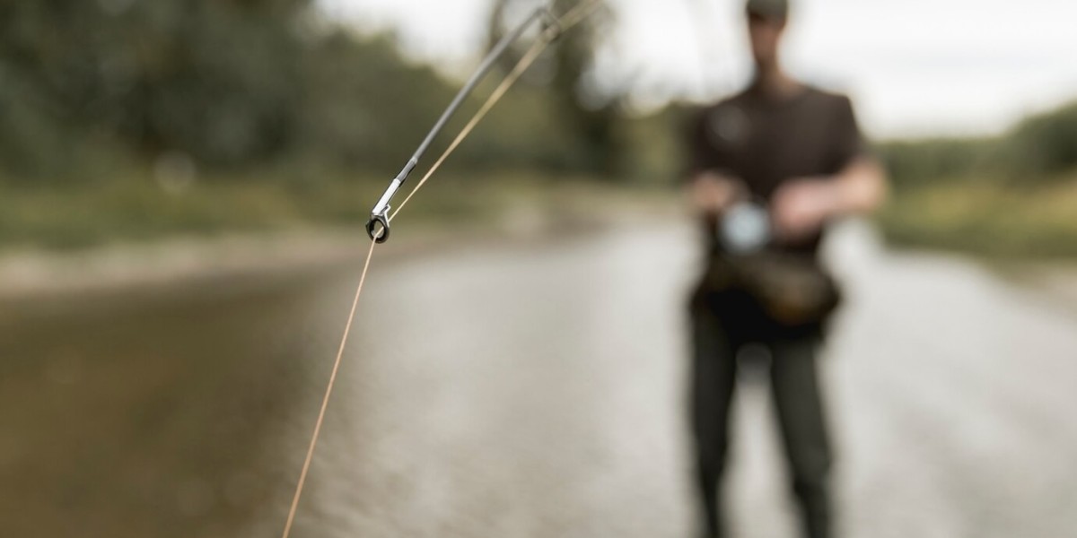 Fishing Rods Market Potential: Exploring Eco-Friendly Innovations and Technological Advancements in Manufacturing