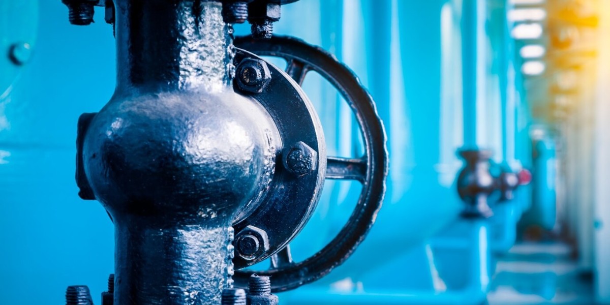 District Drinkable Water Meter Market Potential: Key Innovations and Future Investment Prospects for Businesses