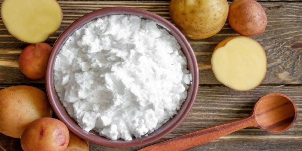 Organic Starch Market Growth Driven by Rising Demand for Natural and Sustainable Ingredients Worldwide