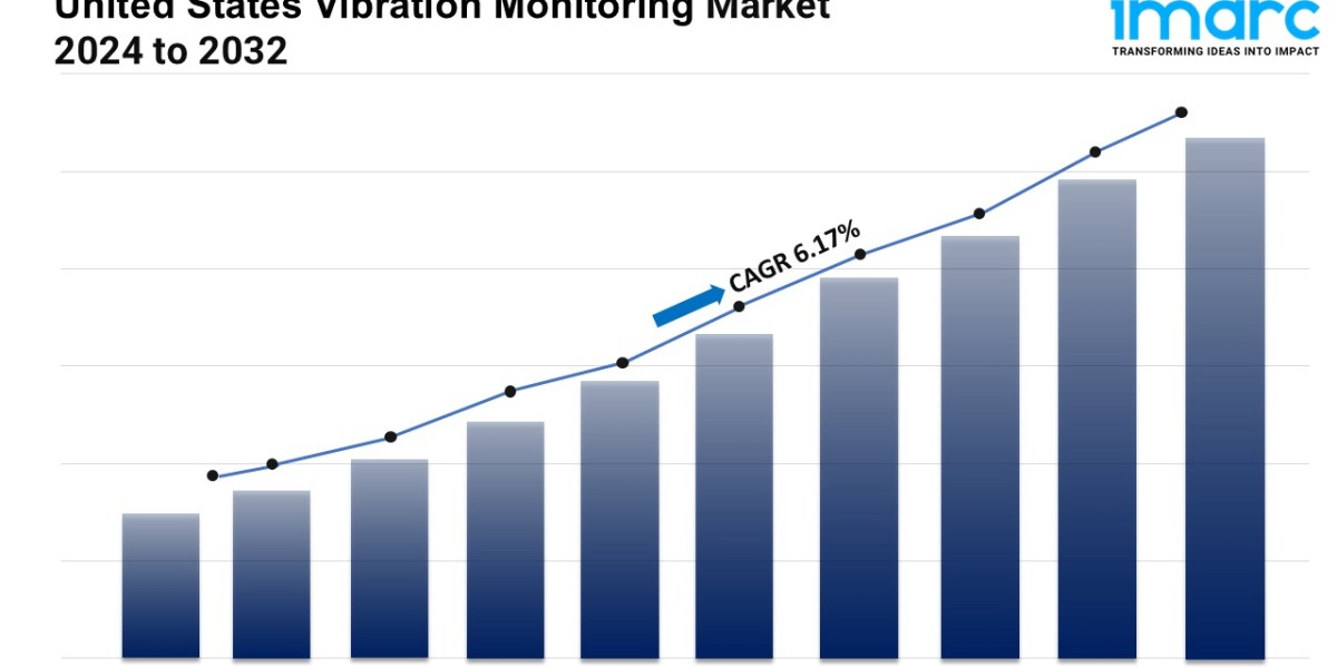 United States Vibration Monitoring Market 2025-2033 | Share, Size, Trends, Forecast and Analysis of Key Players