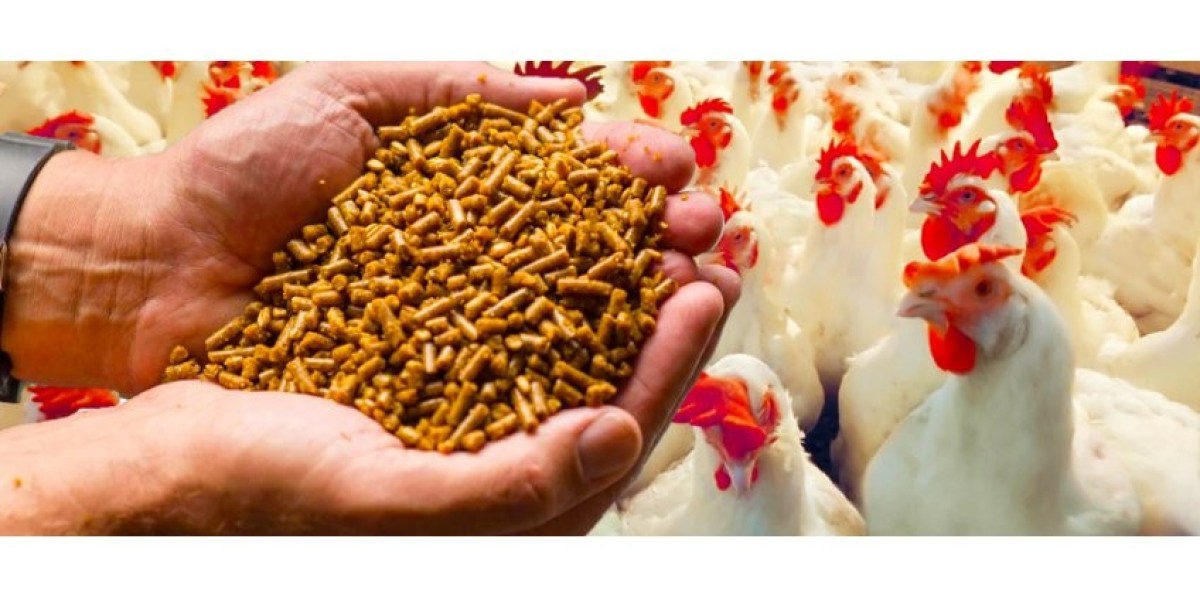 Poultry Feed Market Potential: Exploring Growth Trends, Innovations, and Future Business Opportunities Globally