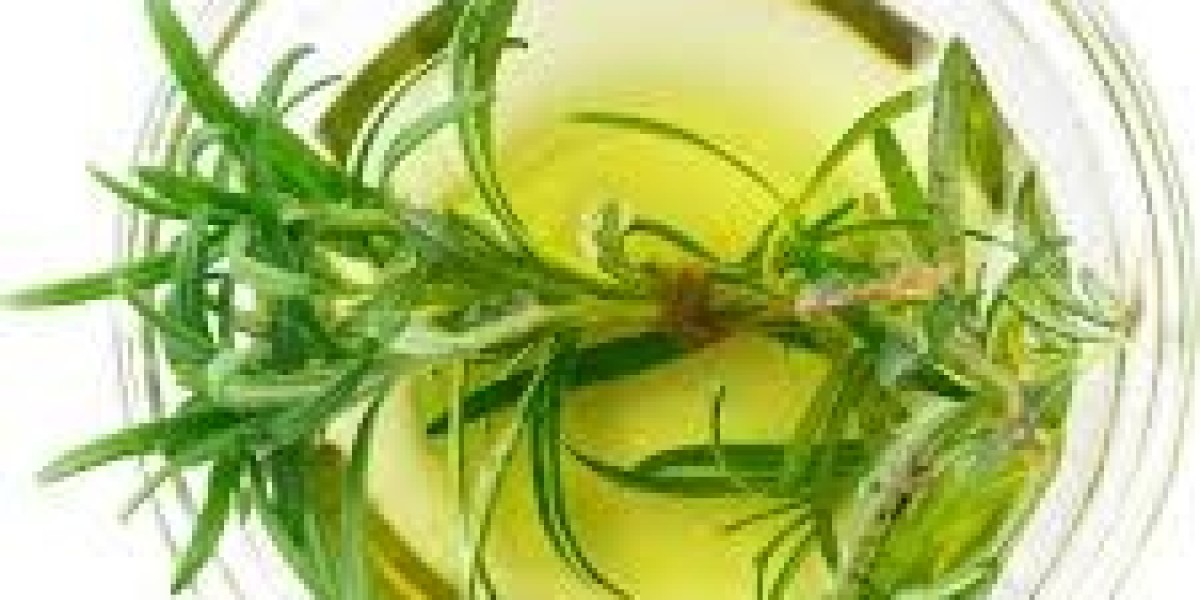 Rosemary Extract Market Potential: Health Benefits, Culinary Uses, and Beauty Products Driving Industry Growth