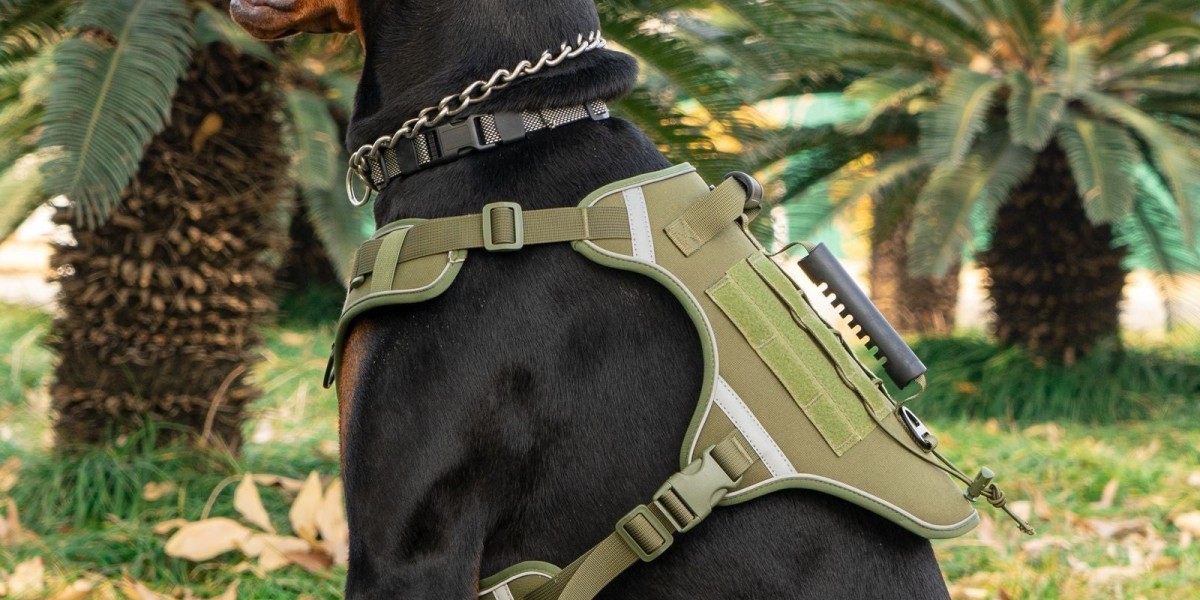 Les Meilleurs Vêtements pour Chats : Style et Confort pour Votre Félin