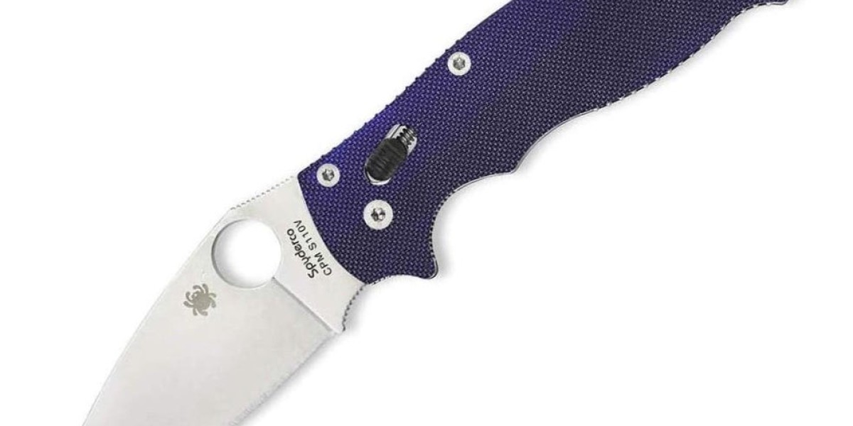 Professional vs. Budget-Friendly Knife Sets: Which One is Right for You?