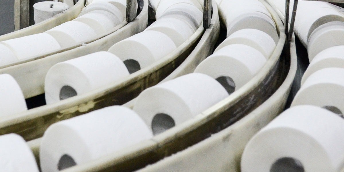Toilet Paper Manufacturing Plant Setup Report 2025: Infrastructure Necessities, Requirements and Cost