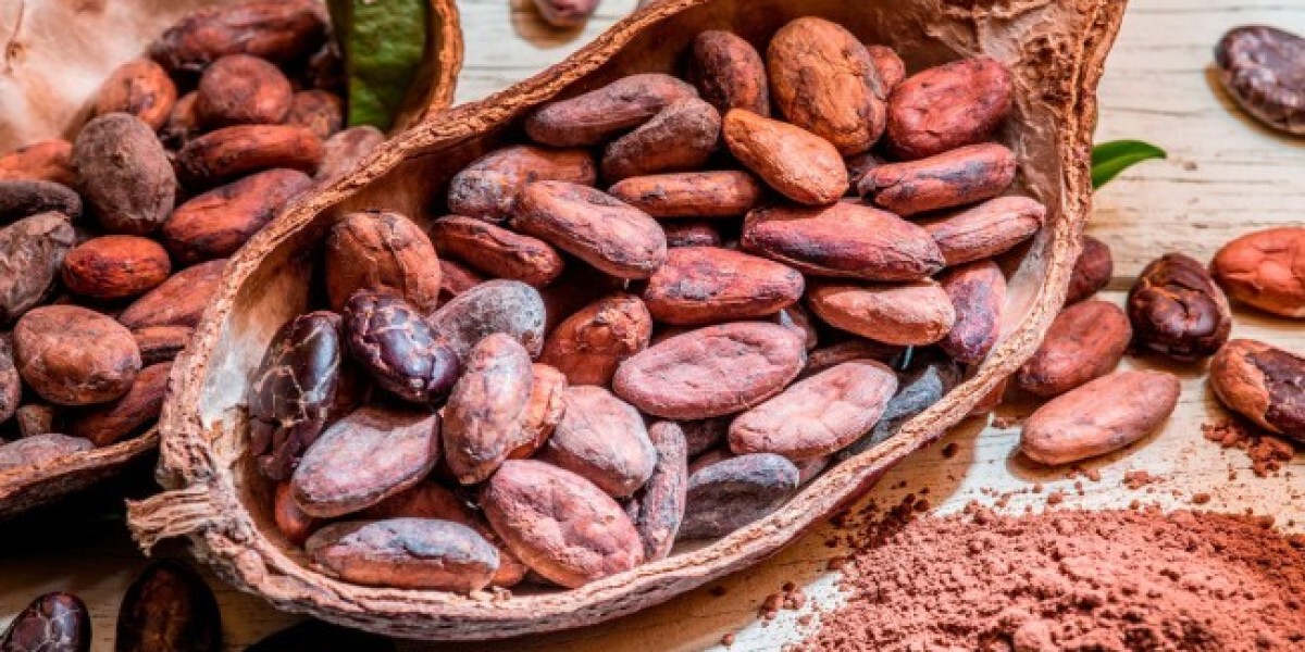 Cocoa Market Opportunities: Rising Demand, Sustainability Trends, and Emerging Business Prospects Worldwide
