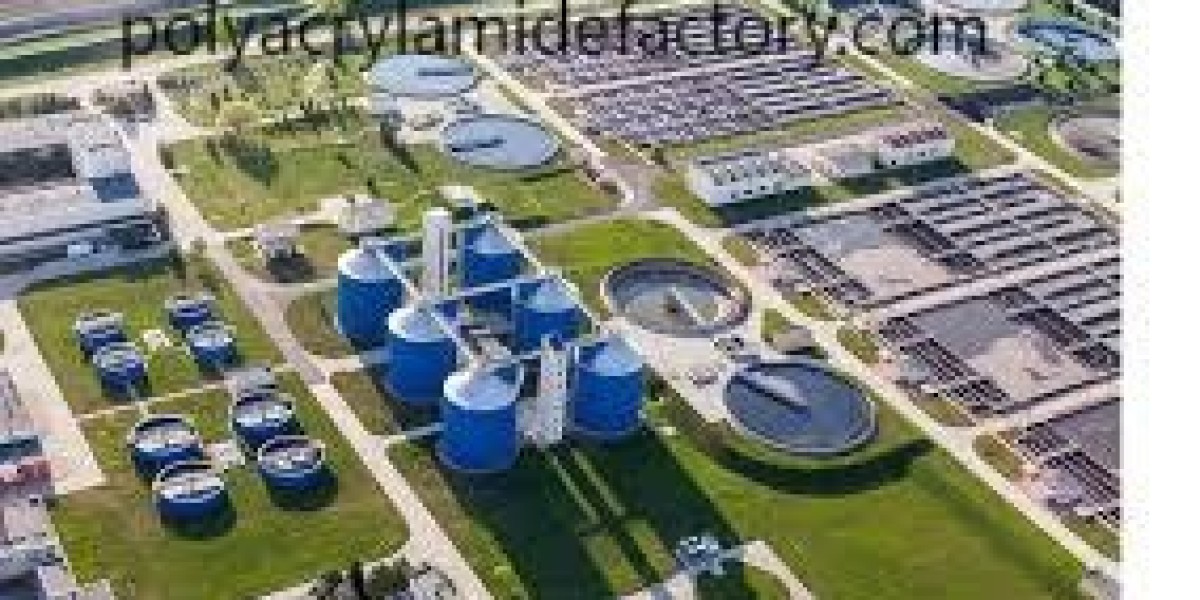 Sustainable Polymer Innovations for Modern Wastewater Challenges