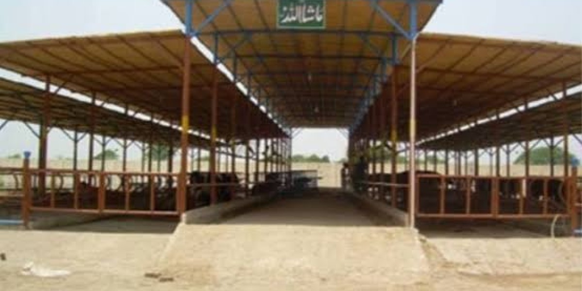 Benefits of High-Quality Dairy Farm Shed